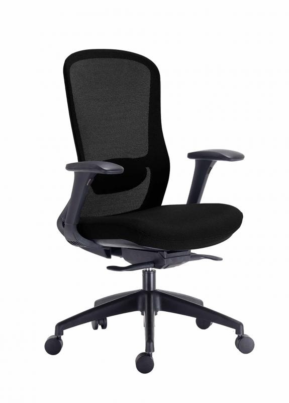 Executive chair with mesh back and fabric seat